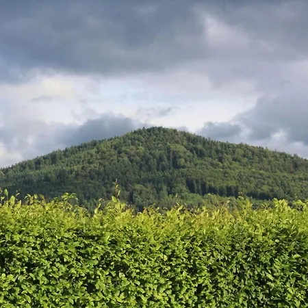 Staffelberg App 802